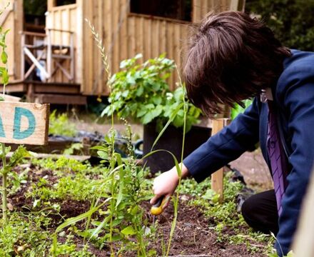 Varndean School Forest School 52